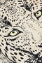 Conceptum Alfombra Tiger Multicolor 140 cm